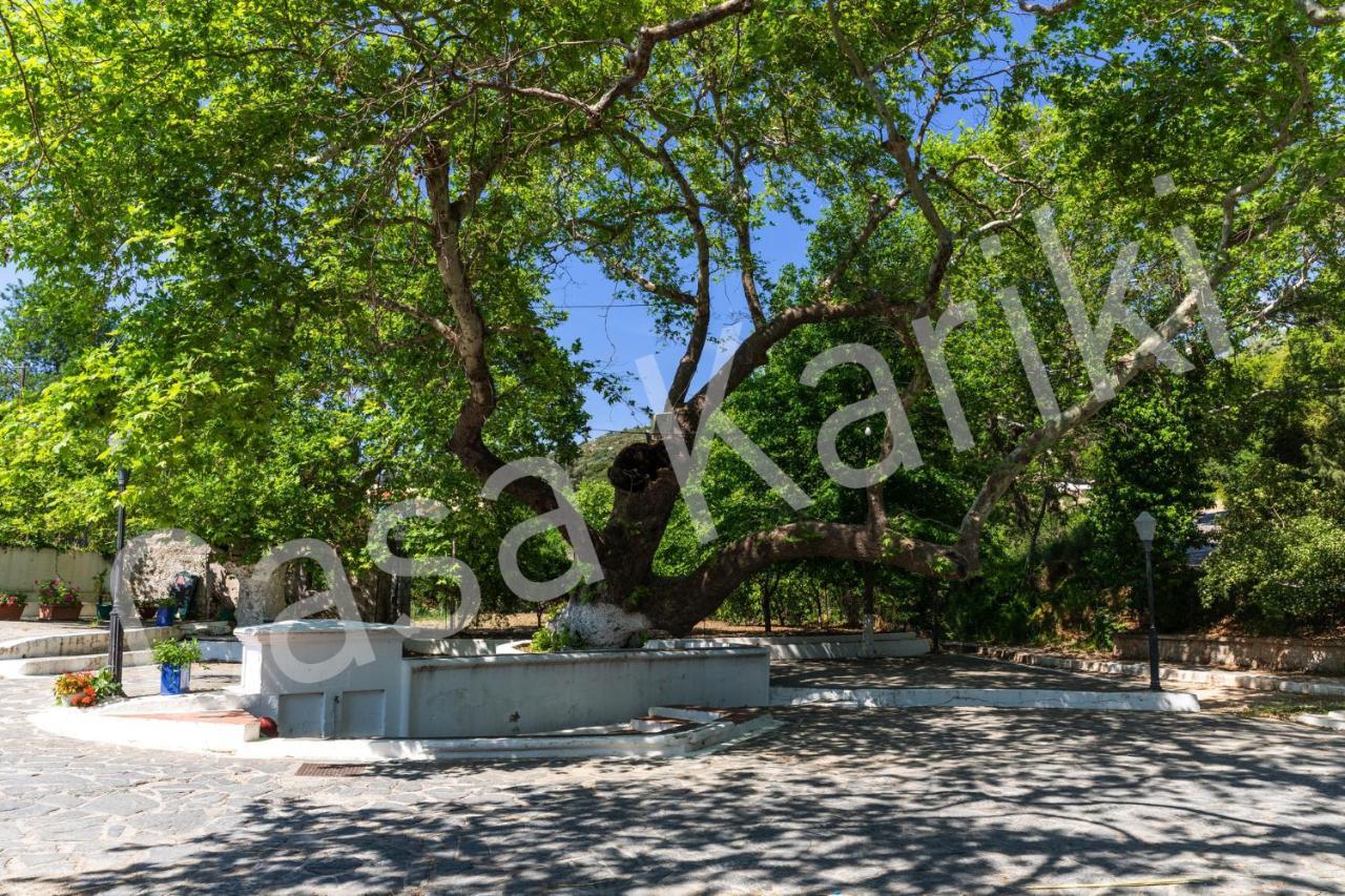 Casa Kariki - Traditional House In Psinthos Villa Exterior foto